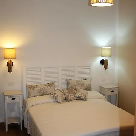 I Gatti Delle 5 Terre