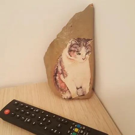 I Gatti Delle 5 Terre לה ספציה