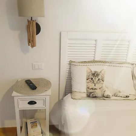 I Gatti Delle 5 Terre La Spezia