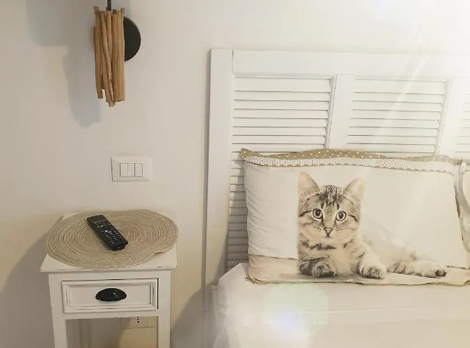 I Gatti Delle 5 Terre La Spezia